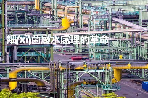 細(xì)菌廢水處理的革命：從源頭到終端的全新探索？